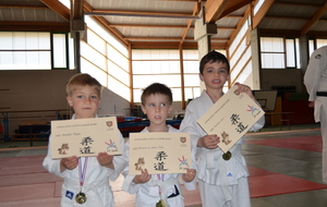 eveil judo