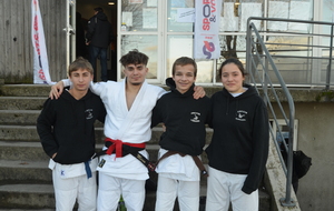 Tournoi des roi de Romans